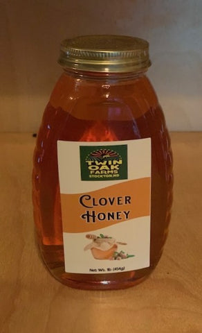 Clover Honey 1 Lb